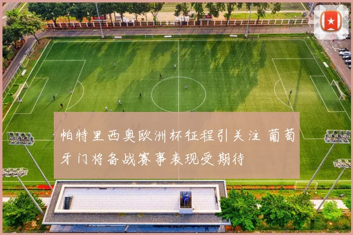 帕特里西奥欧洲杯征程引关注 葡萄牙门将备战赛事表现受期待